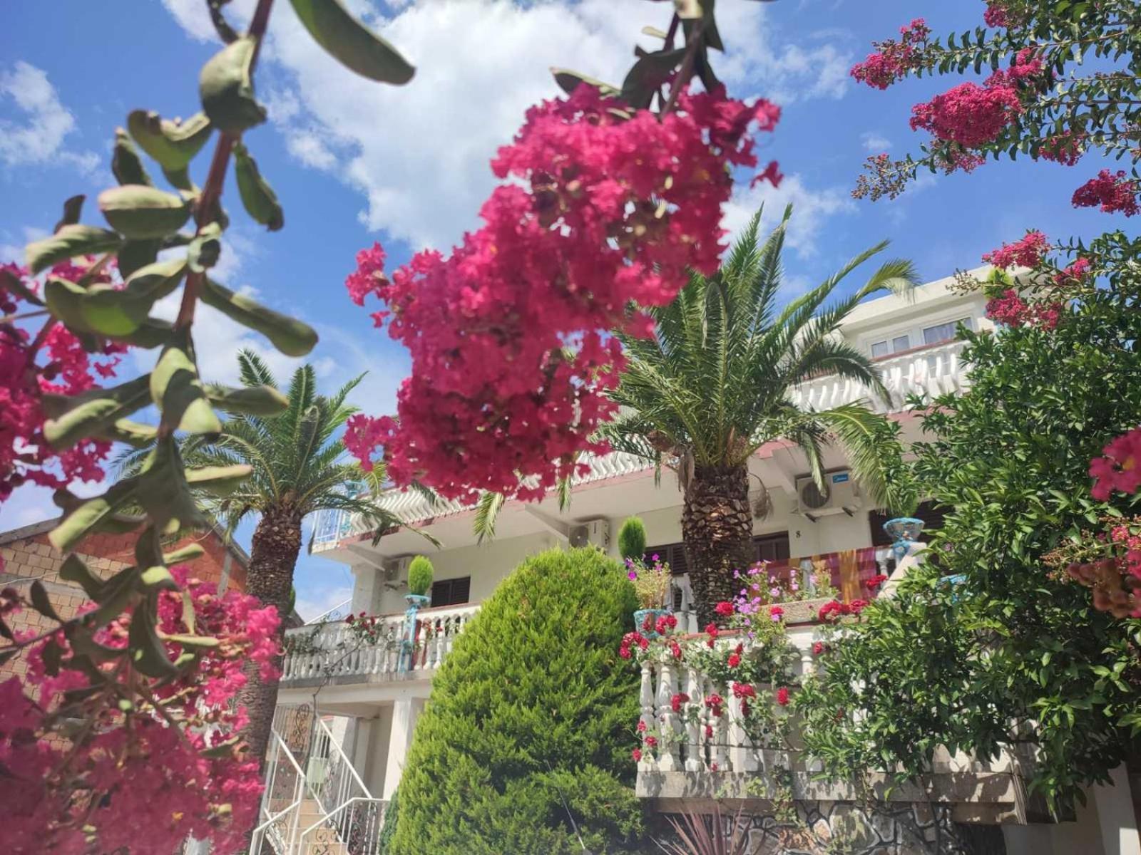 Apartments Radonjic Budva Eksteriør billede