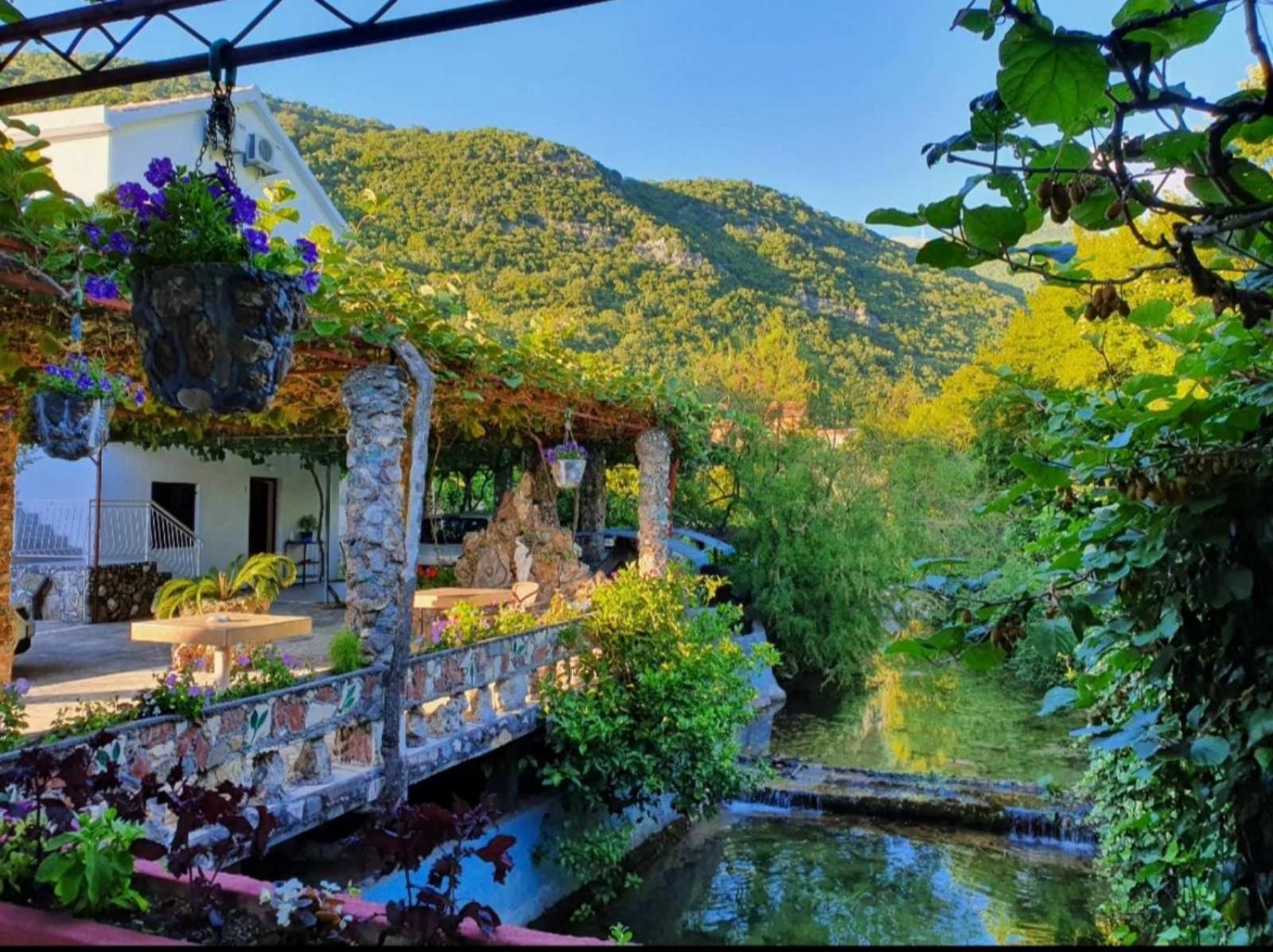 Apartments Radonjic Budva Eksteriør billede