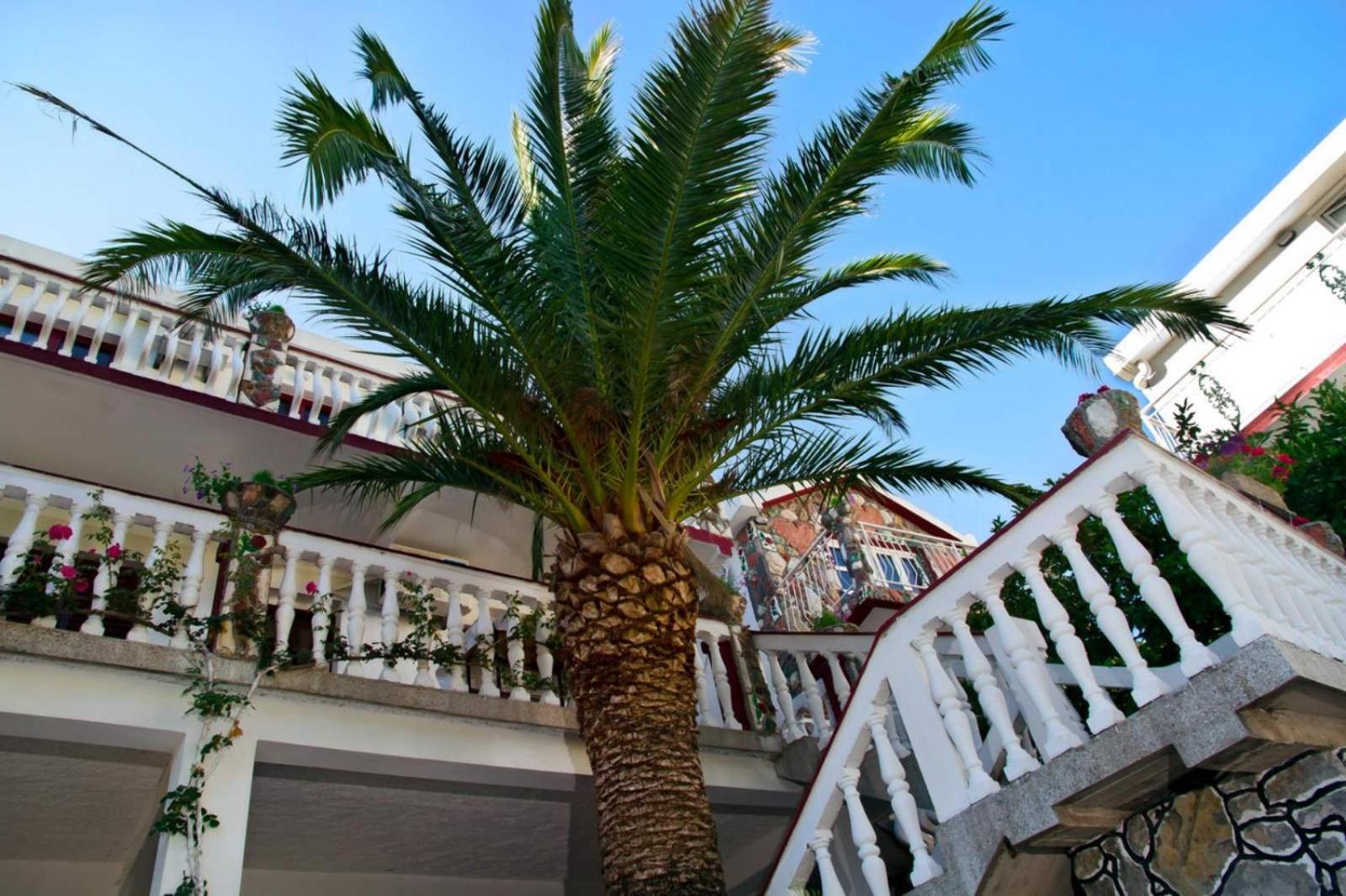 Apartments Radonjic Budva Eksteriør billede