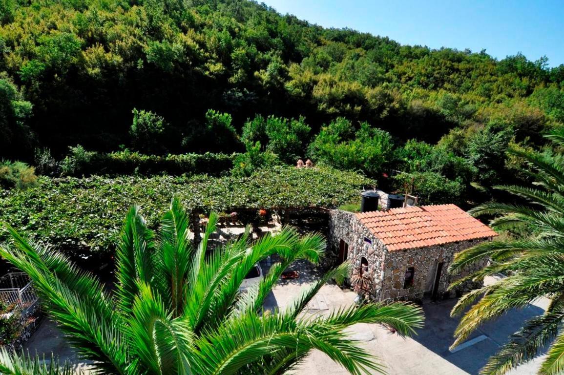 Apartments Radonjic Budva Eksteriør billede