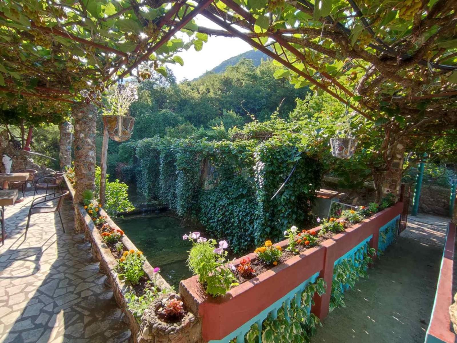 Apartments Radonjic Budva Eksteriør billede